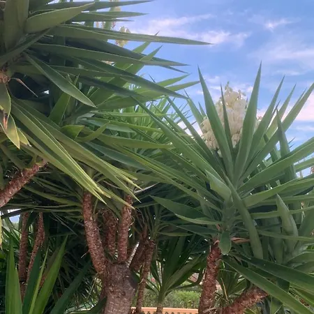 Falcon's Nest: Paradise With Mountains & Seaview + Private Pool Villa